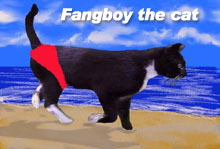 Fangboy The Cat
