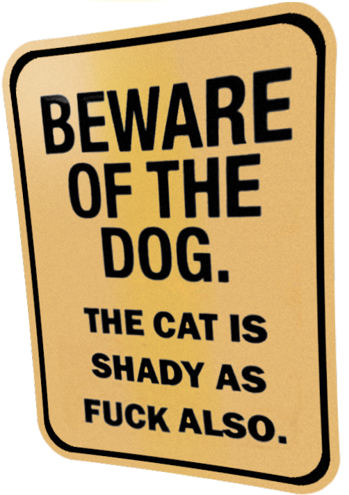 The Cat is shady too!