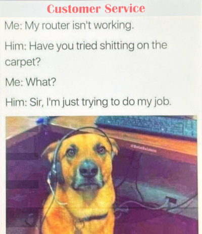 Customer Service Dog